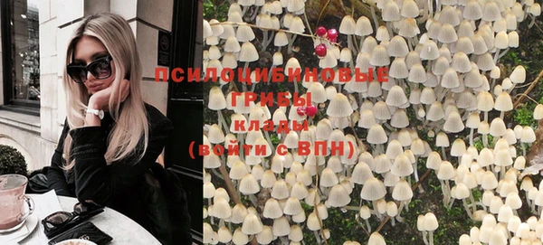 альфа пвп Гусь-Хрустальный