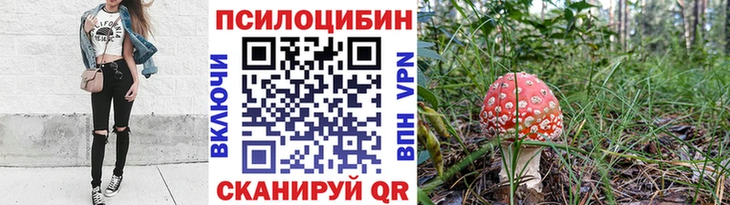 Псилоцибиновые грибы Psilocybine cubensis  Купить  Козловка 